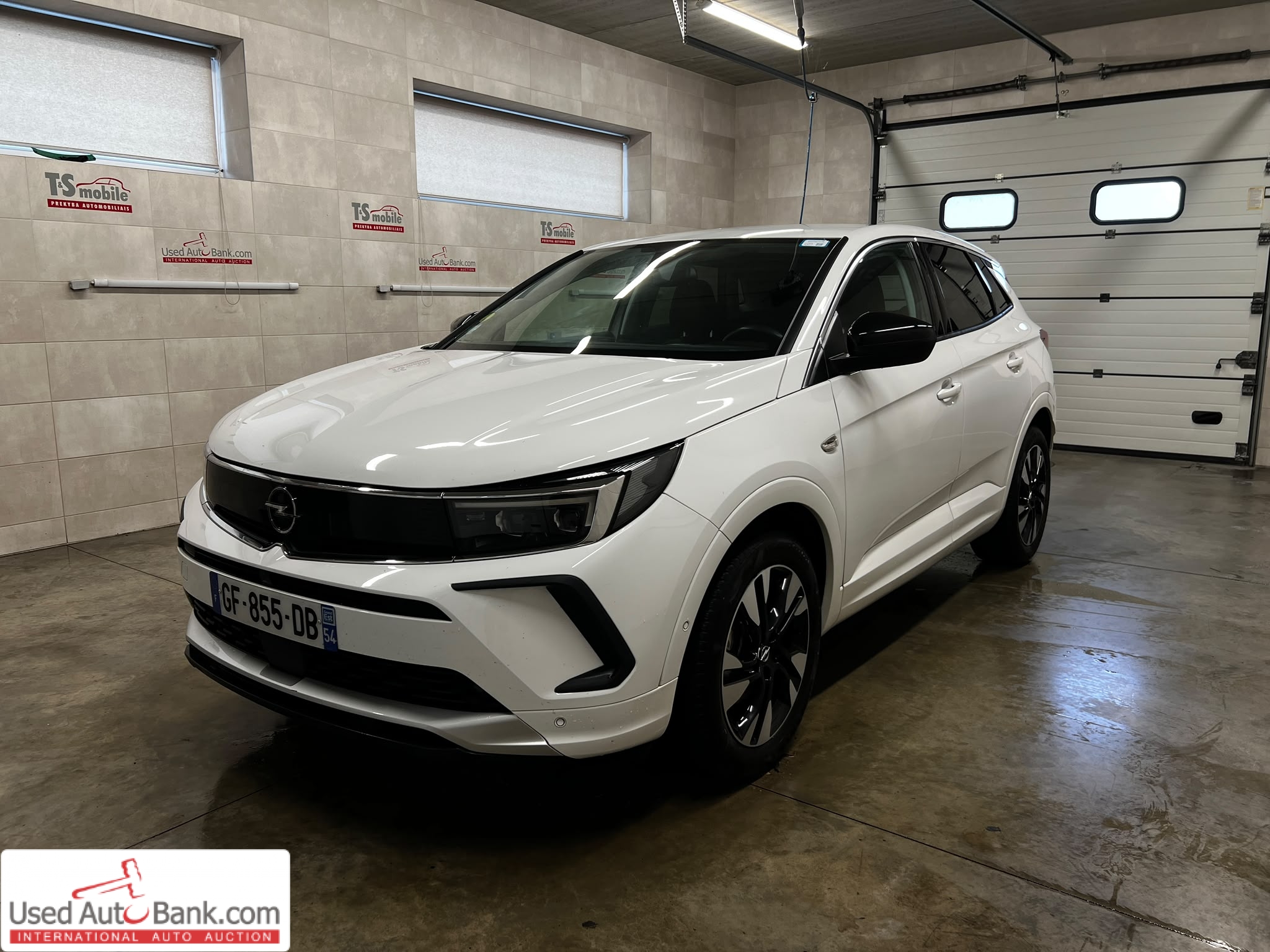 Opel Grandland X 1.5 DIESEL 96KW ELEGANCE BUSINESS AUTO